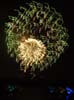 2021JulyFourth_036