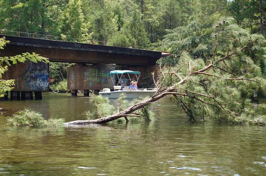 2018LMPS_LakeGreenwood__0122