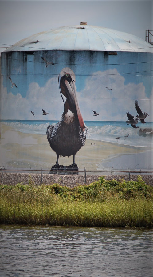 2018_SouthportWilmingtonBaldHead_018