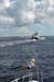 2018_SouthportWilmingtonBaldHead_008