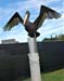 2018_SouthportWilmingtonBaldHead_025
