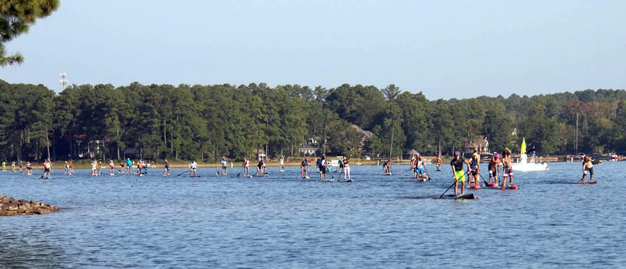 Paddle2