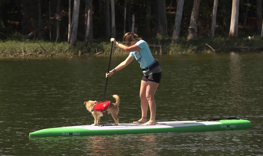 Paddle4