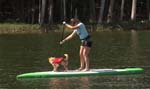 Paddle4