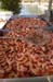 2018OysterRoast__0078
