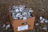 2019OysterRoast__022