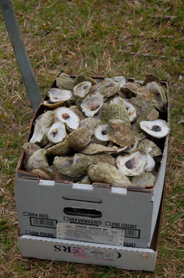 OysterRoast2020_0026