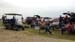 OysterRoast2020_0002